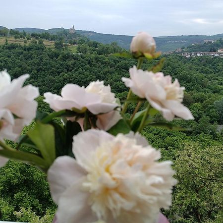 Dervent Apartment Veliko Tarnovo Exteriér fotografie