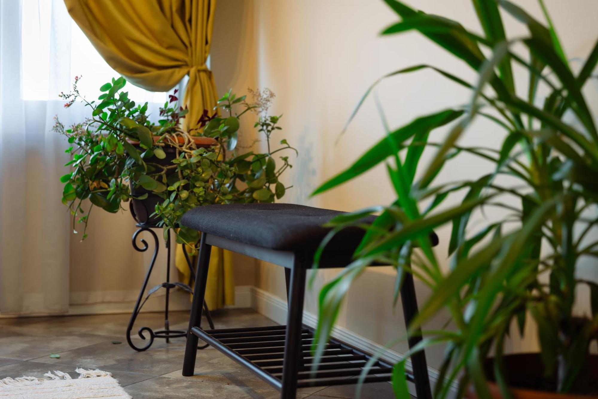 Dervent Apartment Veliko Tarnovo Exteriér fotografie
